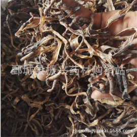 蟲類藥材在藥品批發(fā)中的價(jià)值與挑戰(zhàn)
